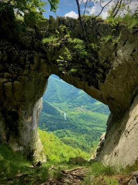 64bcd0d31e1b8-large (1)